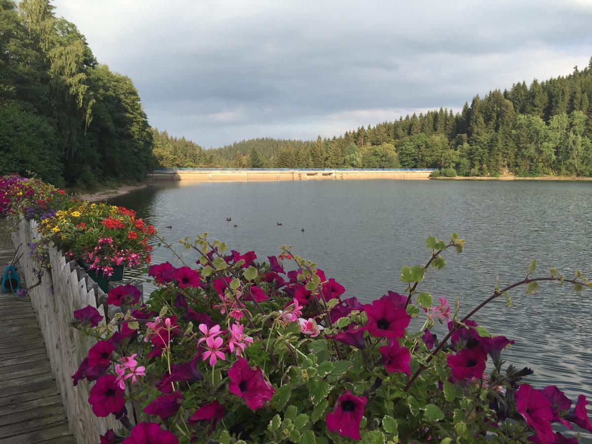 Holidayhaus Luetsche Frankenhain Екстер'єр фото